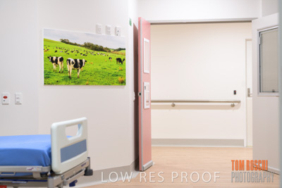 August 2020 / Repat_Daw_Park_200811_028