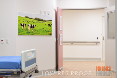 August 2020 / Repat_Daw_Park_200811_029