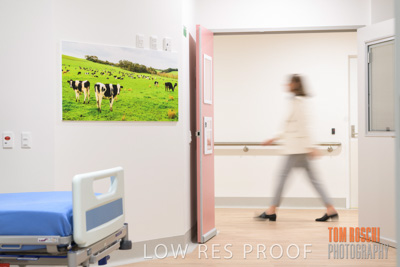 August 2020 / Repat_Daw_Park_200811_030