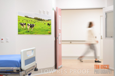 August 2020 / Repat_Daw_Park_200811_032