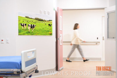 August 2020 / Repat_Daw_Park_200811_033