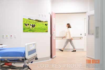 August 2020 / Repat_Daw_Park_200811_034