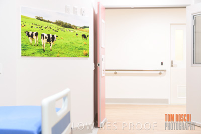 August 2020 / Repat_Daw_Park_200811_035