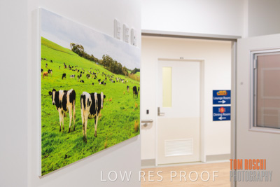 August 2020 / Repat_Daw_Park_200811_037