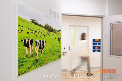 August 2020 / Repat_Daw_Park_200811_038