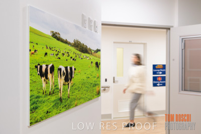 August 2020 / Repat_Daw_Park_200811_039