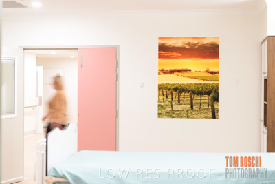 August 2020 / Repat_Daw_Park_200811_043