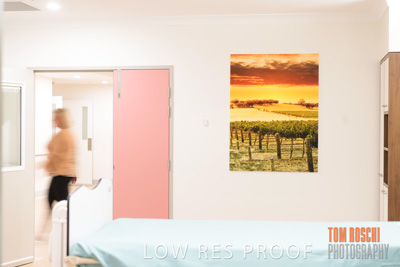 August 2020 / Repat_Daw_Park_200811_044