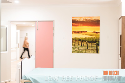 August 2020 / Repat_Daw_Park_200811_045