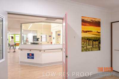 August 2020 / Repat_Daw_Park_200811_050