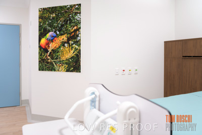 August 2020 / Repat_Daw_Park_200811_062