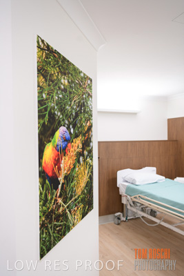 August 2020 / Repat_Daw_Park_200811_064