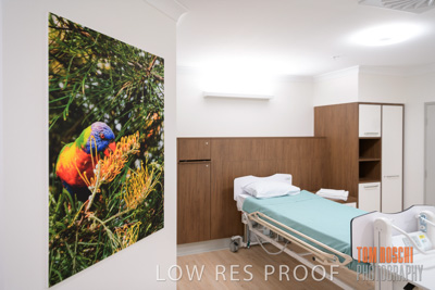 August 2020 / Repat_Daw_Park_200811_065