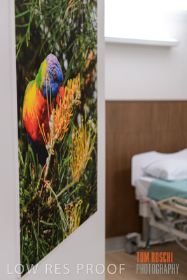 August 2020 / Repat_Daw_Park_200811_068