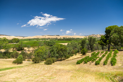 December 2020 / NOVATEL_BAROSSA_201215_083