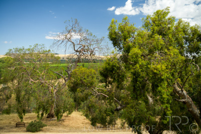 December 2020 / NOVATEL_BAROSSA_201215_158