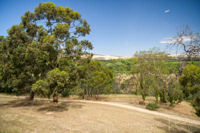 December 2020 / NOVATEL_BAROSSA_201215_160