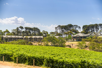December 2020 / NOVATEL_BAROSSA_201215_166
