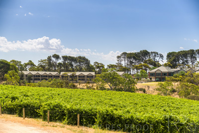 December 2020 / NOVATEL_BAROSSA_201215_167