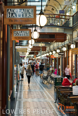 February 2017 / LIGHTS_006_170216