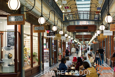 February 2017 / LIGHTS_009_170216