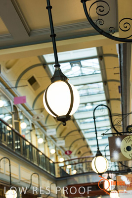 February 2017 / LIGHTS_011_170216