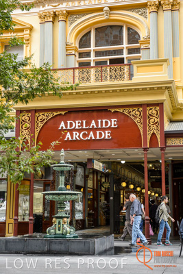 February 2017 / RUNDLE_STR_ENTRY_062_170216