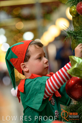 November 2017 / AD_ARCADE_ELFS_043_171101_TRP2004