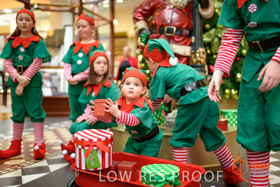 November 2017 / AD_ARCADE_ELFS_046_171101_TRP2120