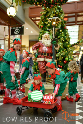 November 2017 / AD_ARCADE_ELFS_052_171101_TRP2159