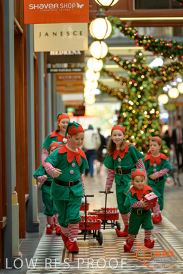 November 2017 / AD_ARCADE_ELFS_058_171101_TRP2189