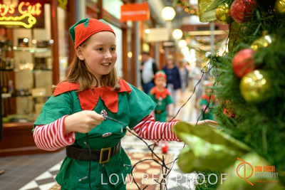 November 2017 / AD_ARCADE_ELFS_111_171101_TRP2589