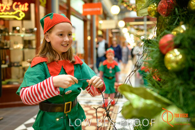 November 2017 / AD_ARCADE_ELFS_112_171101_TRP2590