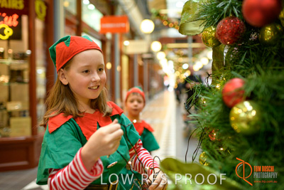 November 2017 / AD_ARCADE_ELFS_120_171101_TRP2627