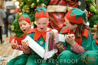 November 2017 / AD_ARCADE_ELFS_131_171101_TRP2710