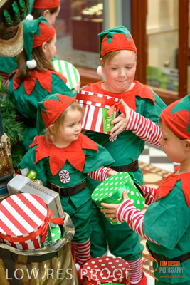 November 2017 / AD_ARCADE_ELFS_161_171101_TRP2895