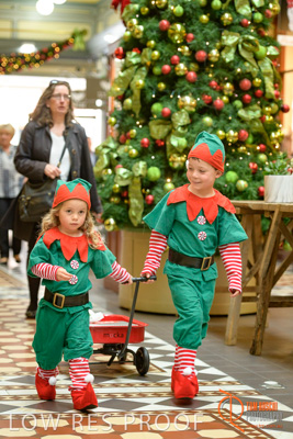 November 2017 / AD_ARCADE_ELFS_193_171101_TRP3115