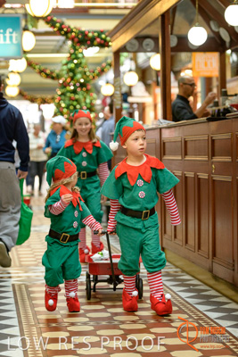 November 2017 / AD_ARCADE_ELFS_195_171101_TRP3131