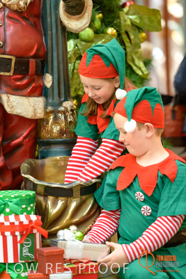 November 2017 / AD_ARCADE_ELFS_231_171101_TRP4106