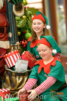 November 2017 / AD_ARCADE_ELFS_235_171101_TRP4122