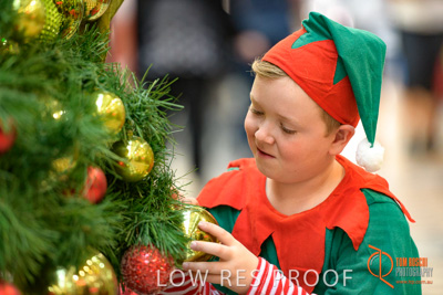 November 2017 / AD_ARCADE_ELFS_243_171101_TRP4162