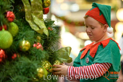 November 2017 / AD_ARCADE_ELFS_246_171101_TRP4171