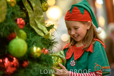 November 2017 / AD_ARCADE_ELFS_253_171101_TRP4194