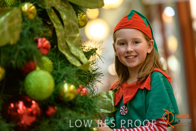 November 2017 / AD_ARCADE_ELFS_254_171101_TRP4197