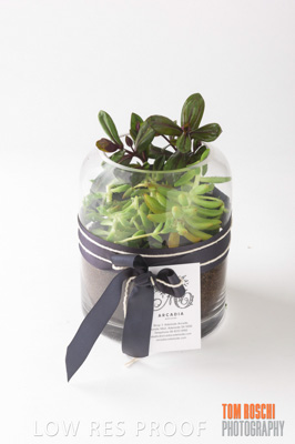 October 2018 / AD_ARCADE_0280_181009