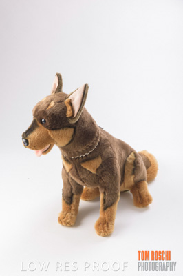 October 2018 / AD_ARCADE_0330_181009