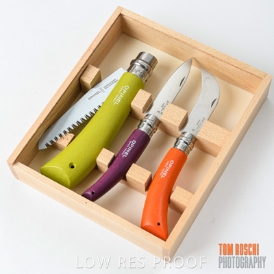 October 2019 / ADARC_191009_081