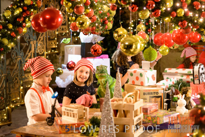 September 2020 / AD_ARCADE_ELFS_200928_006