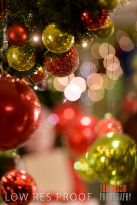 September 2020 / AD_ARCADE_ELFS_200928_058