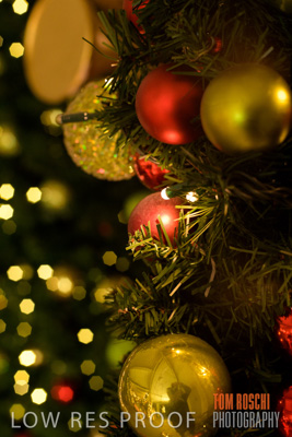 September 2020 / AD_ARCADE_ELFS_200928_298